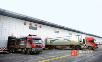 嘉魚縣嘉安物流園 冷鏈配送驅動下的現代物流新篇章